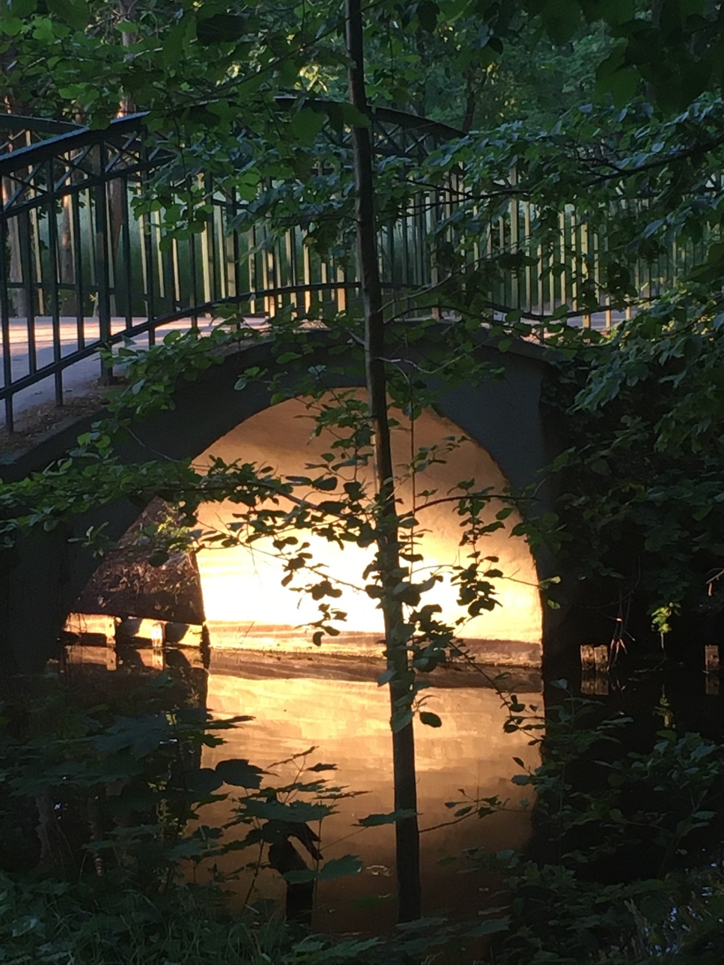 16 / Parc de Charlottenburg