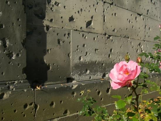 17 rose au cimetiere dorotheenstadt