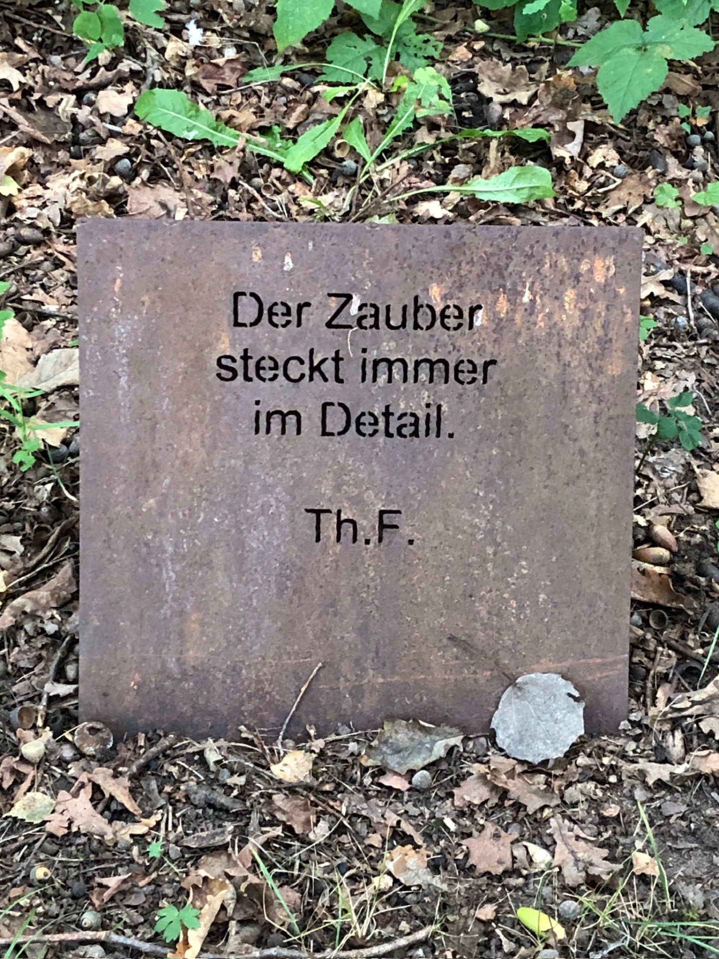 6 Der Zauber steckt immer im Detail La magie se trouve toujours dans les détails